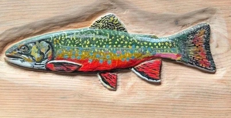 Brook%2BTrout%2BKMS.jpg