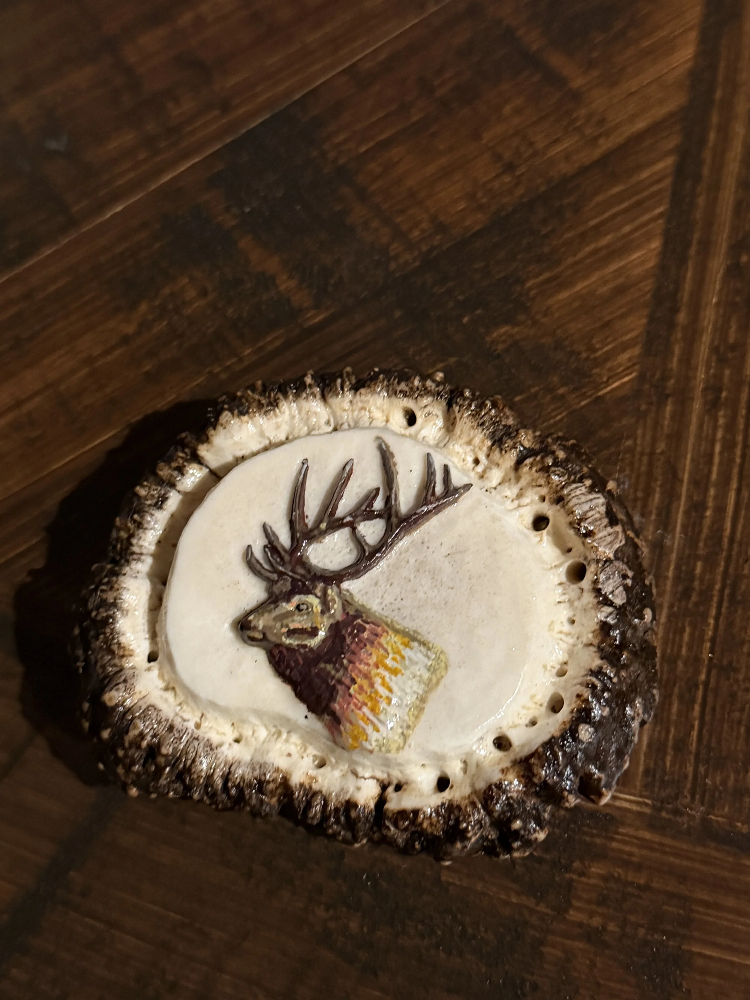 Bull Elk on Elk Burr
