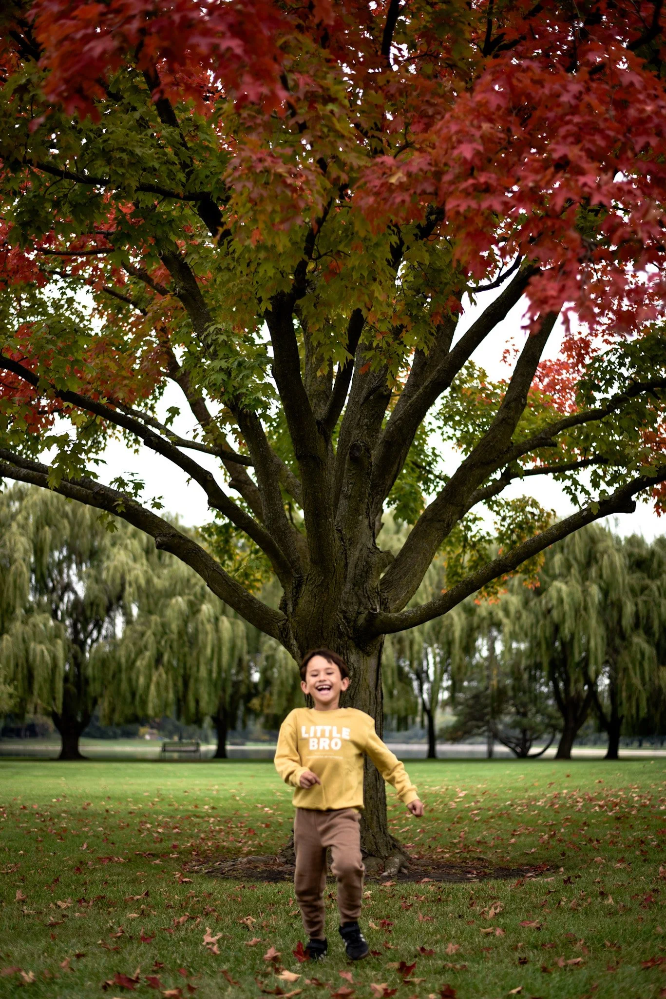 A young boy running happily in a park with a large tree with red and green leaves behind him, and a grassy field with scattered fallen leaves.