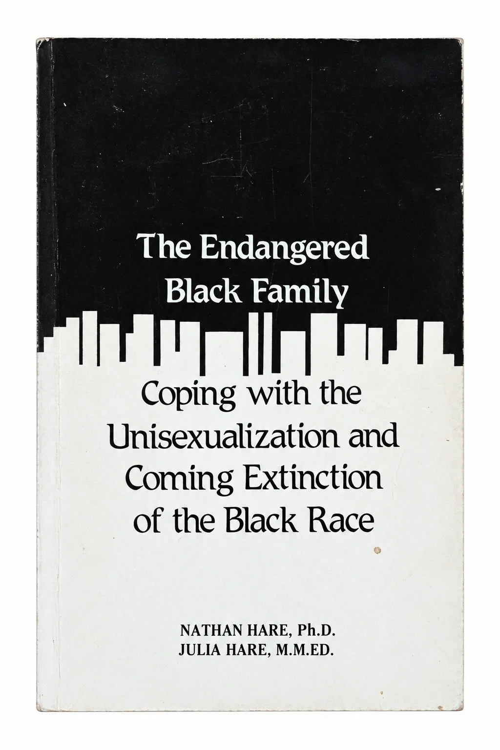 The Endangered Black Family - front.jpg