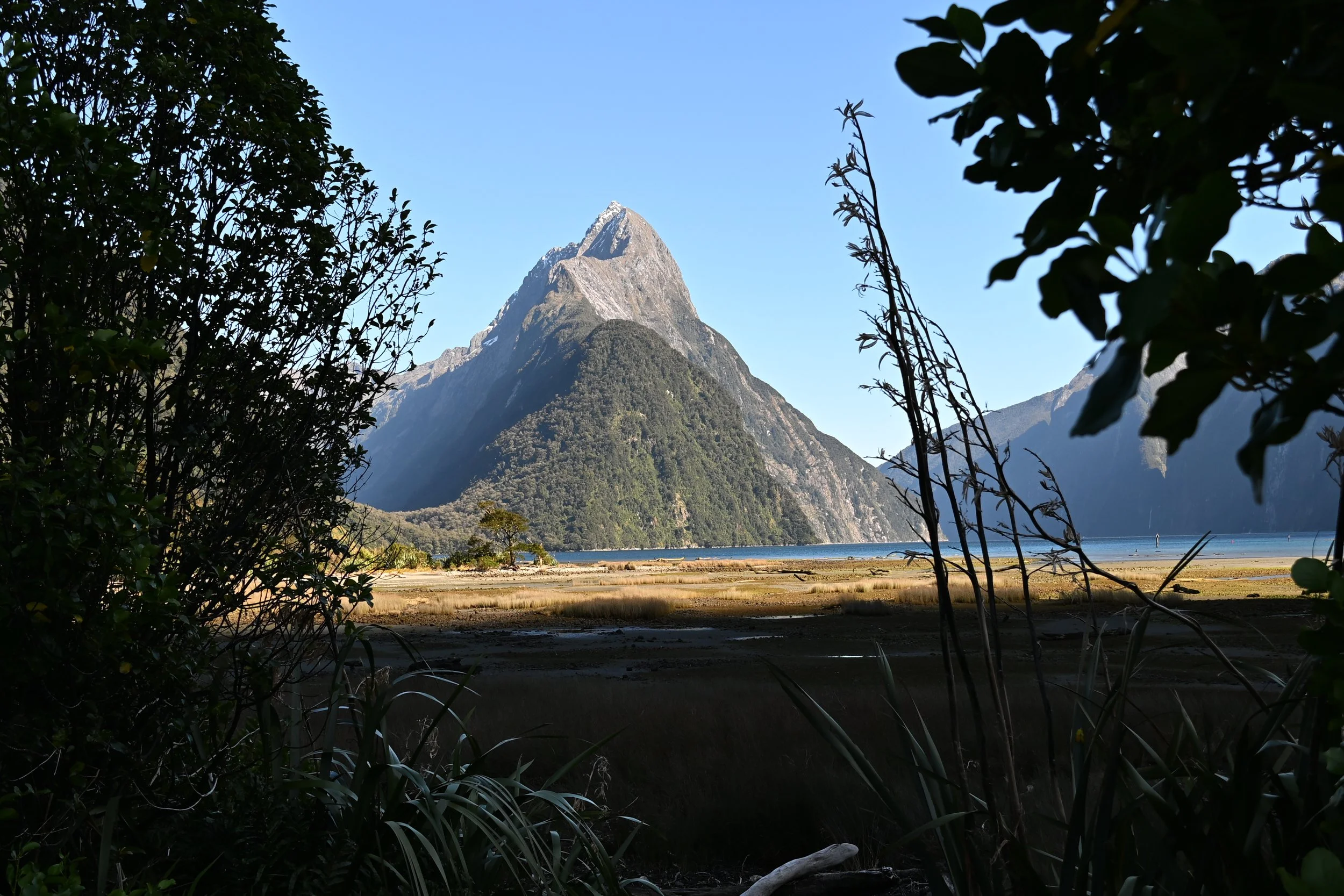 Z63_0343.JPG