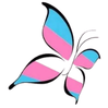 Colorful, stylized butterfly with pink, blue, and purple wings.