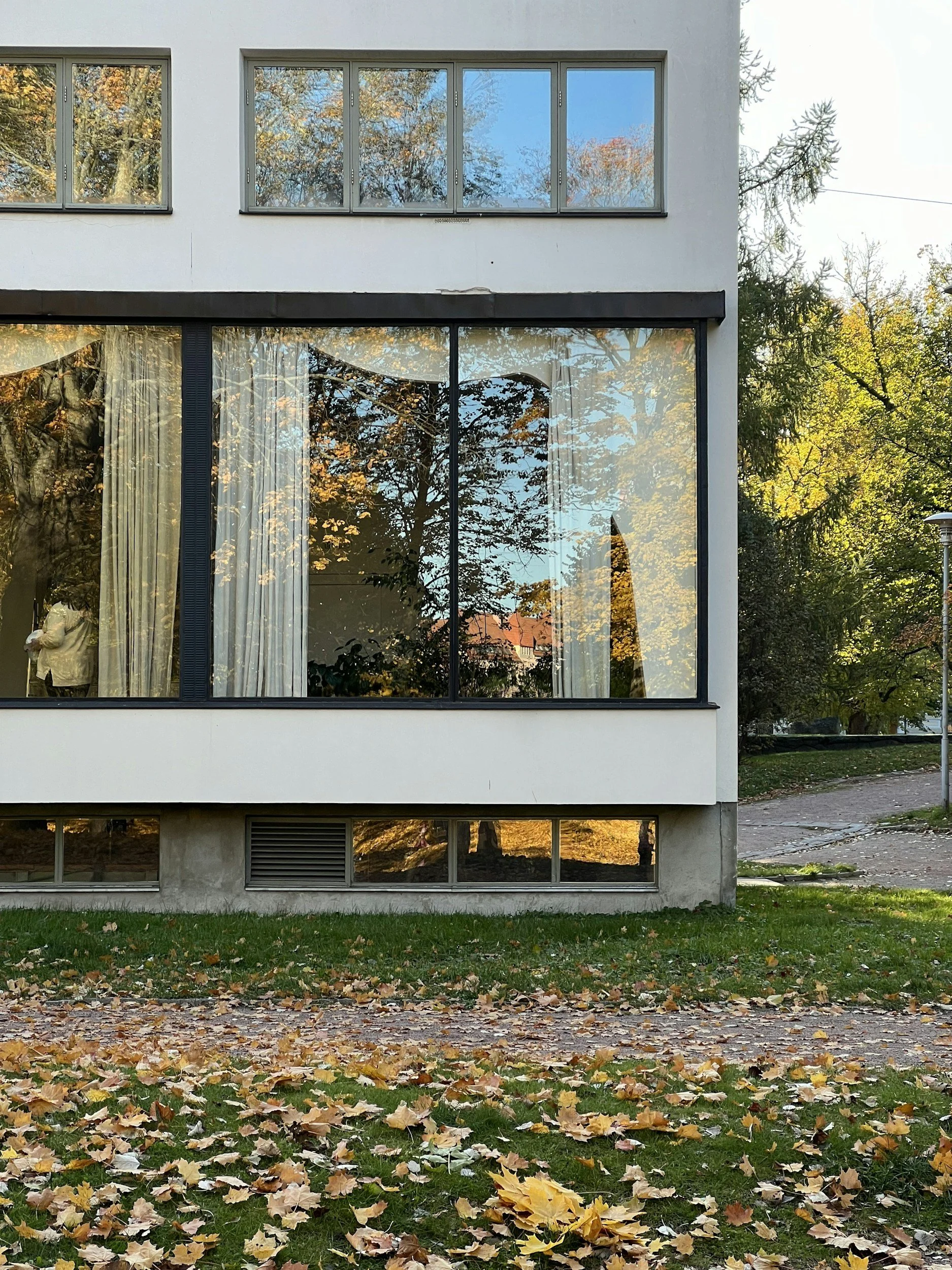A modern white building with large windows reflecting trees with autumn foliage, fallen leaves on the grass, and trees in the background.