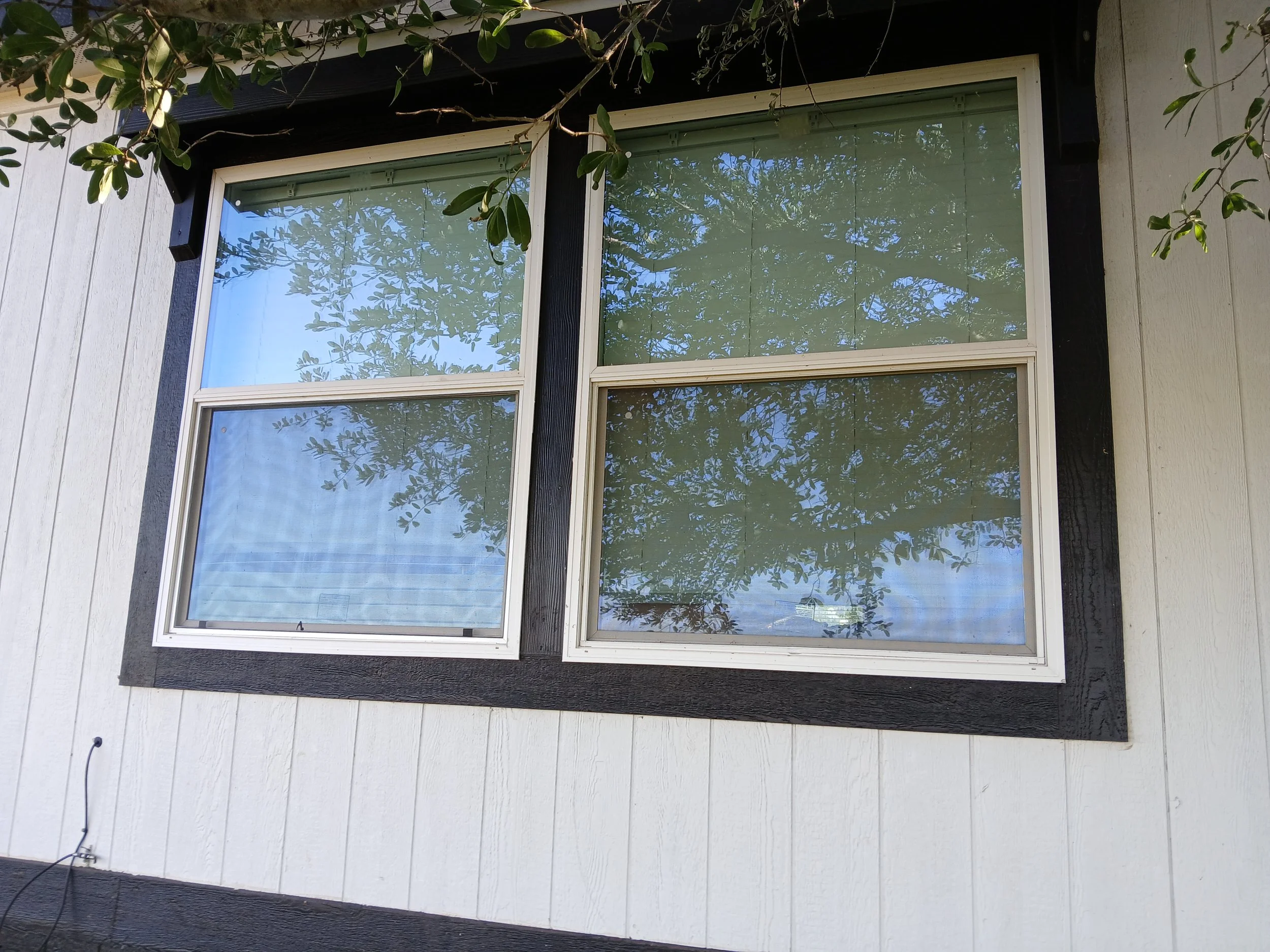 A window on the exterior of a house, with reflections of trees visible in the glass. The house has white siding with black trim around the window, and a small overhang at the top with dark-colored shingles. There are tree branches with green leaves e