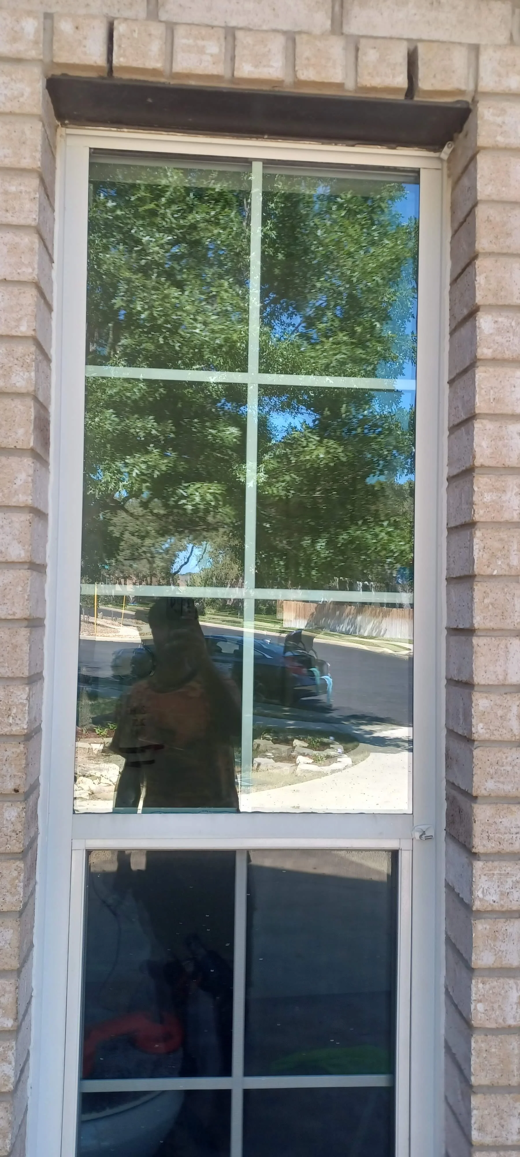 A window with a reflection of trees, blue sky, and a person taking the photo. Part of a brick wall surrounds the window.