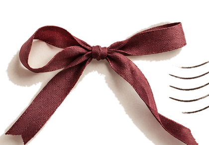 Close-up of a burgundy ribbon tied in a bow on a white envelope.