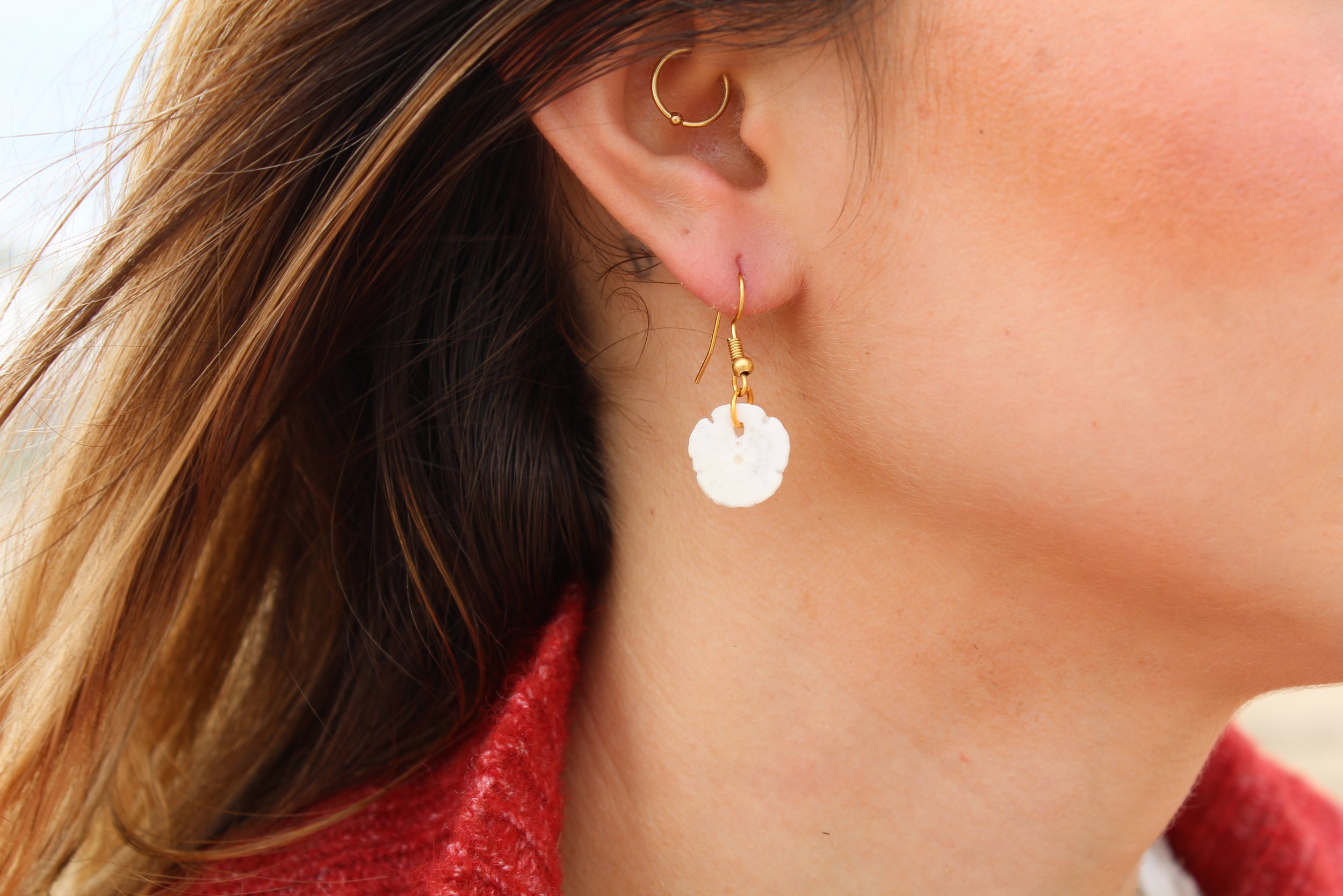 Sand Dollar Gold Earrings