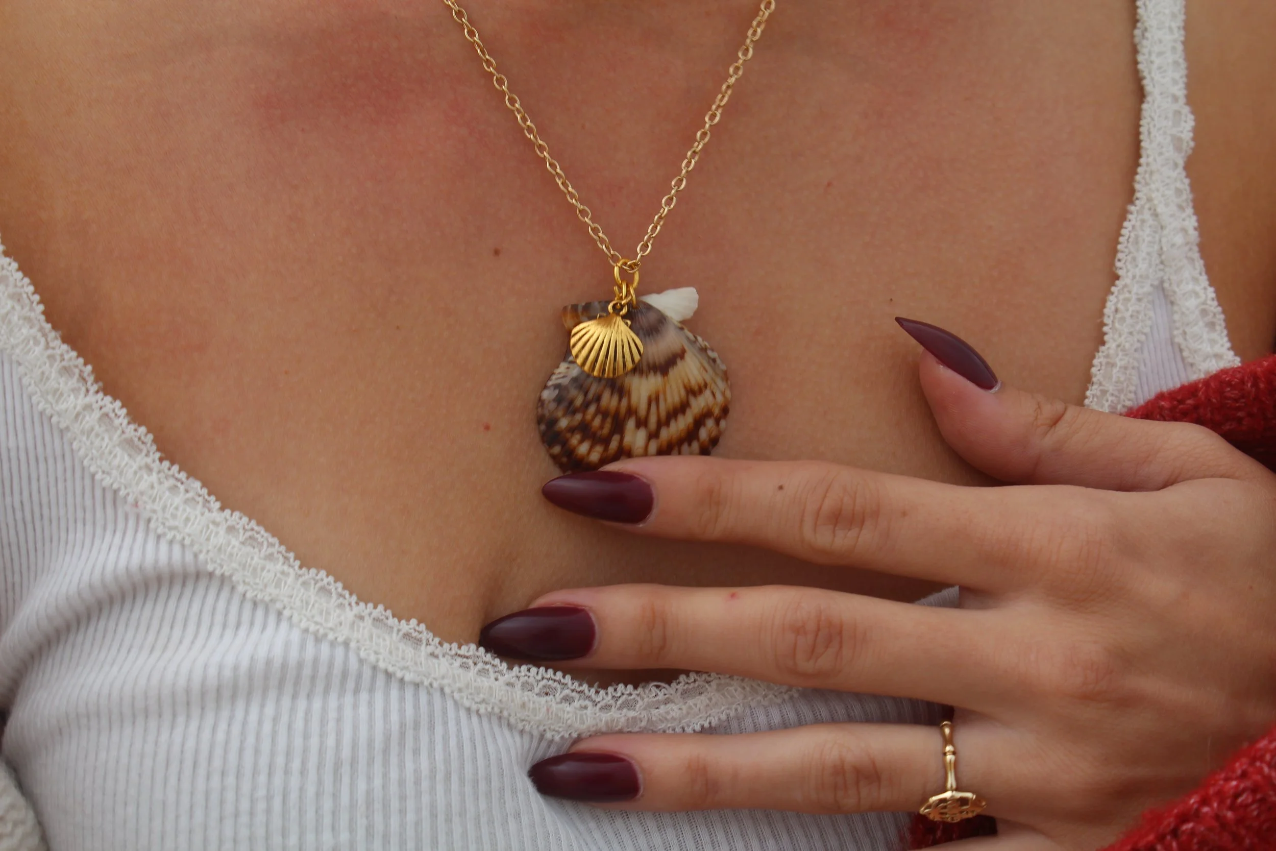 Shell With Golden Shell Necklace