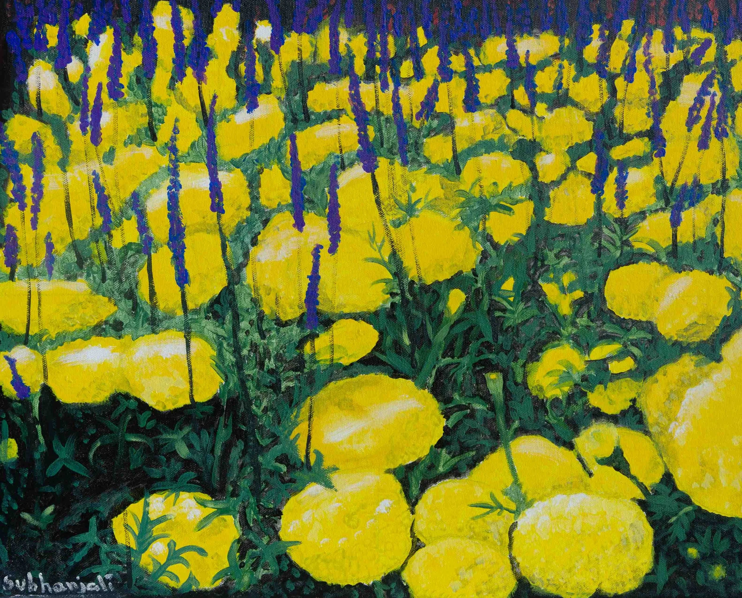 Marigold Field — acrylic on canvas, 16 × 20 in
