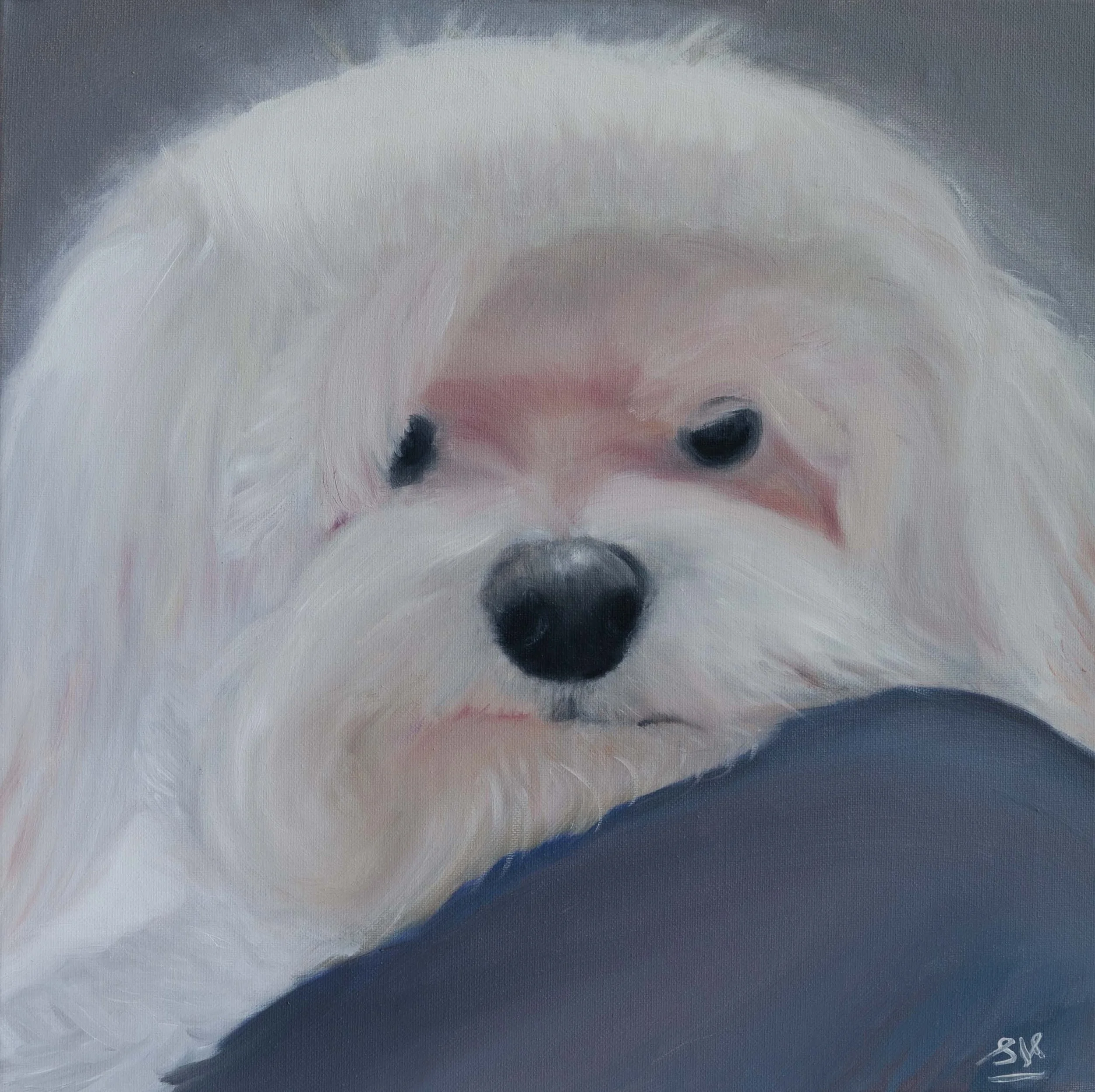 Dolly — oil on canvas, 16 × 16 in