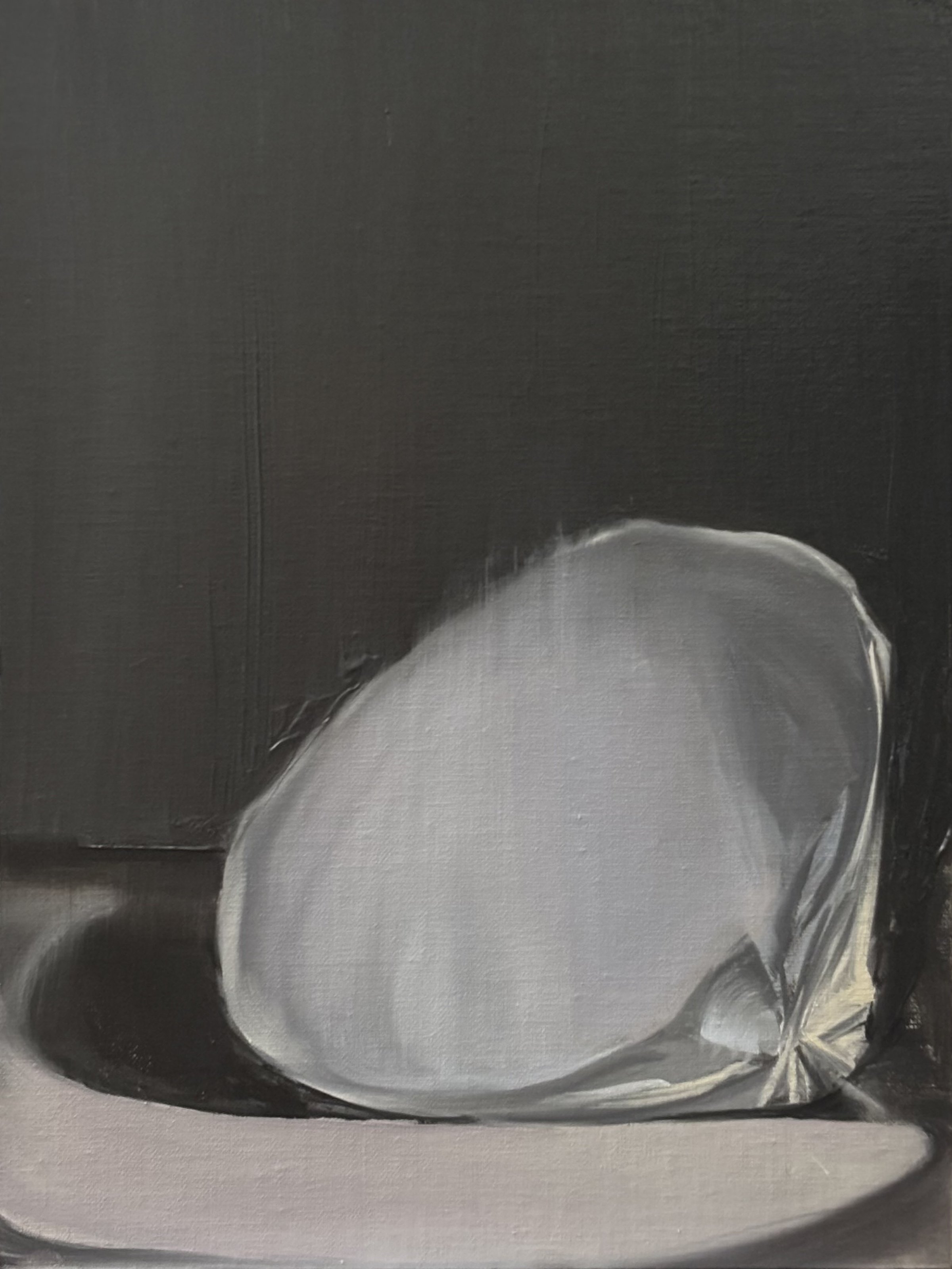 Shell and Shadow II