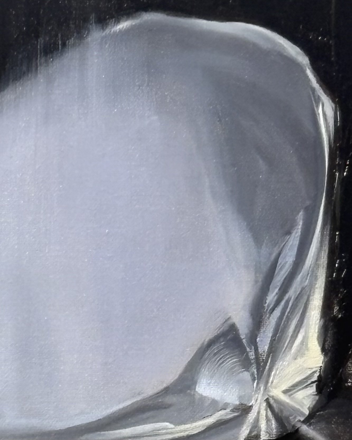 Shell_and_shadow_II_detail.jpg