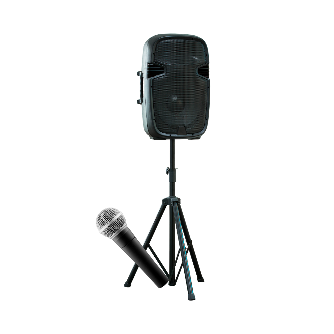 speaker n mic.png