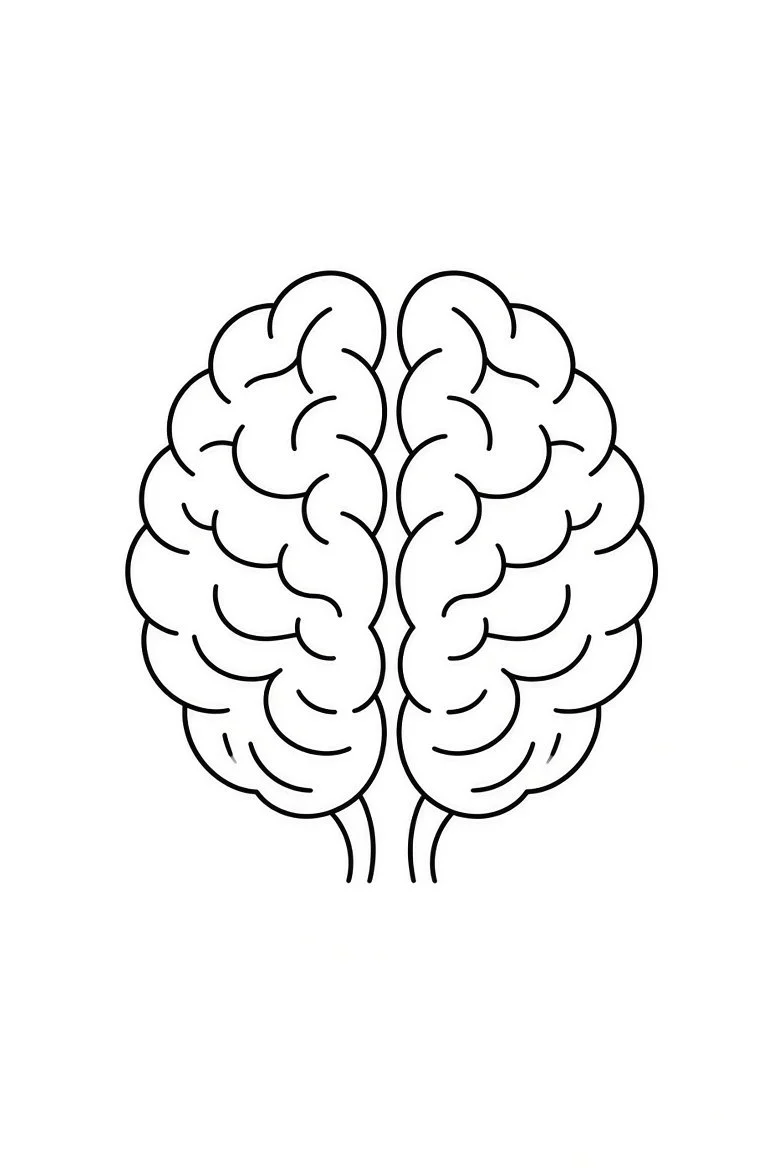 Black and white illustration of a human brain