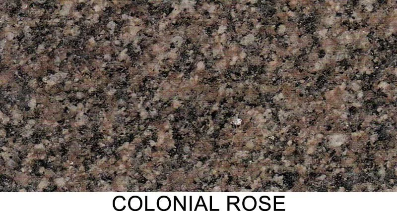colonial rose
