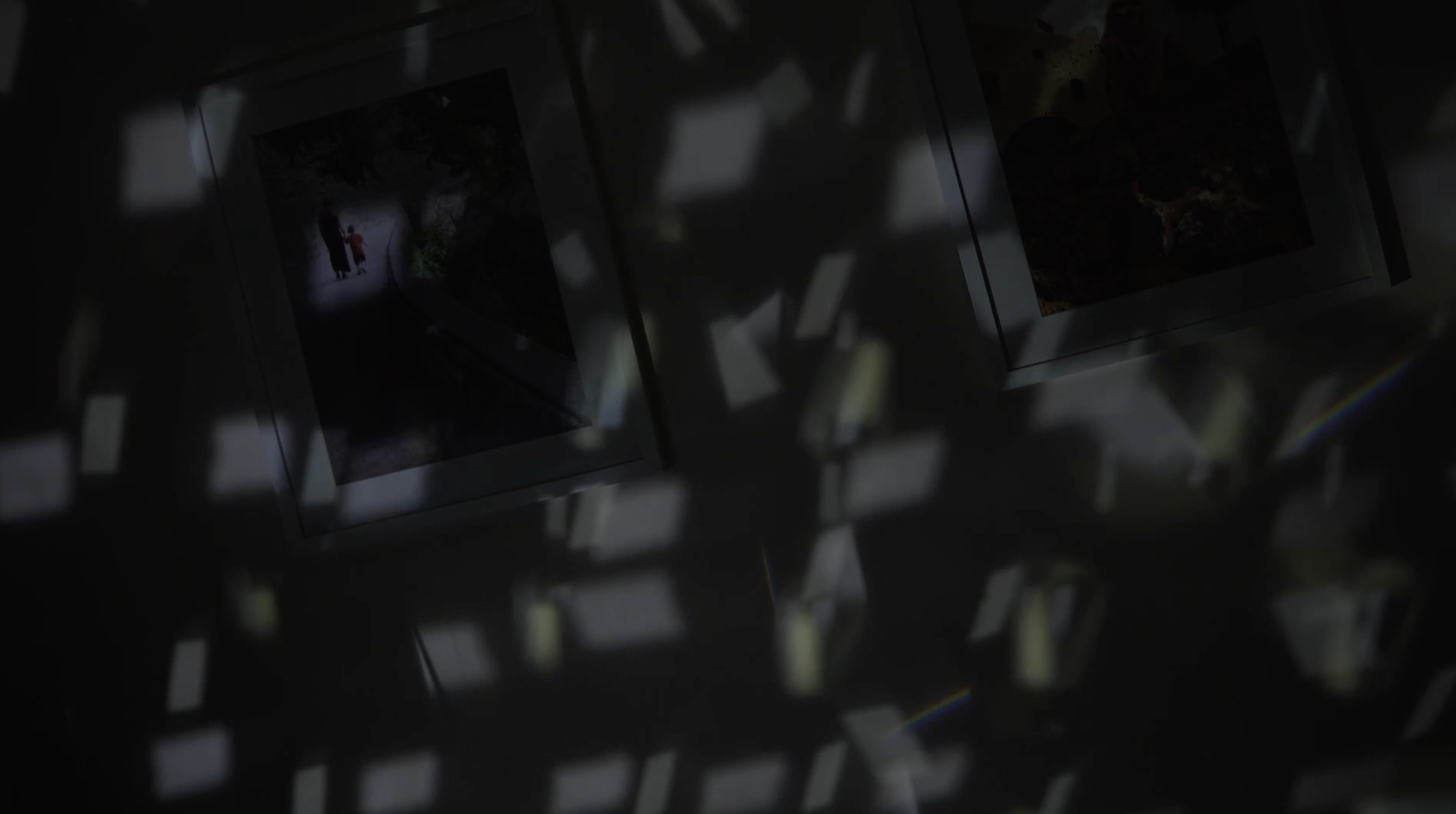 Screenshot 2026-10-12 at 11.37.33.png