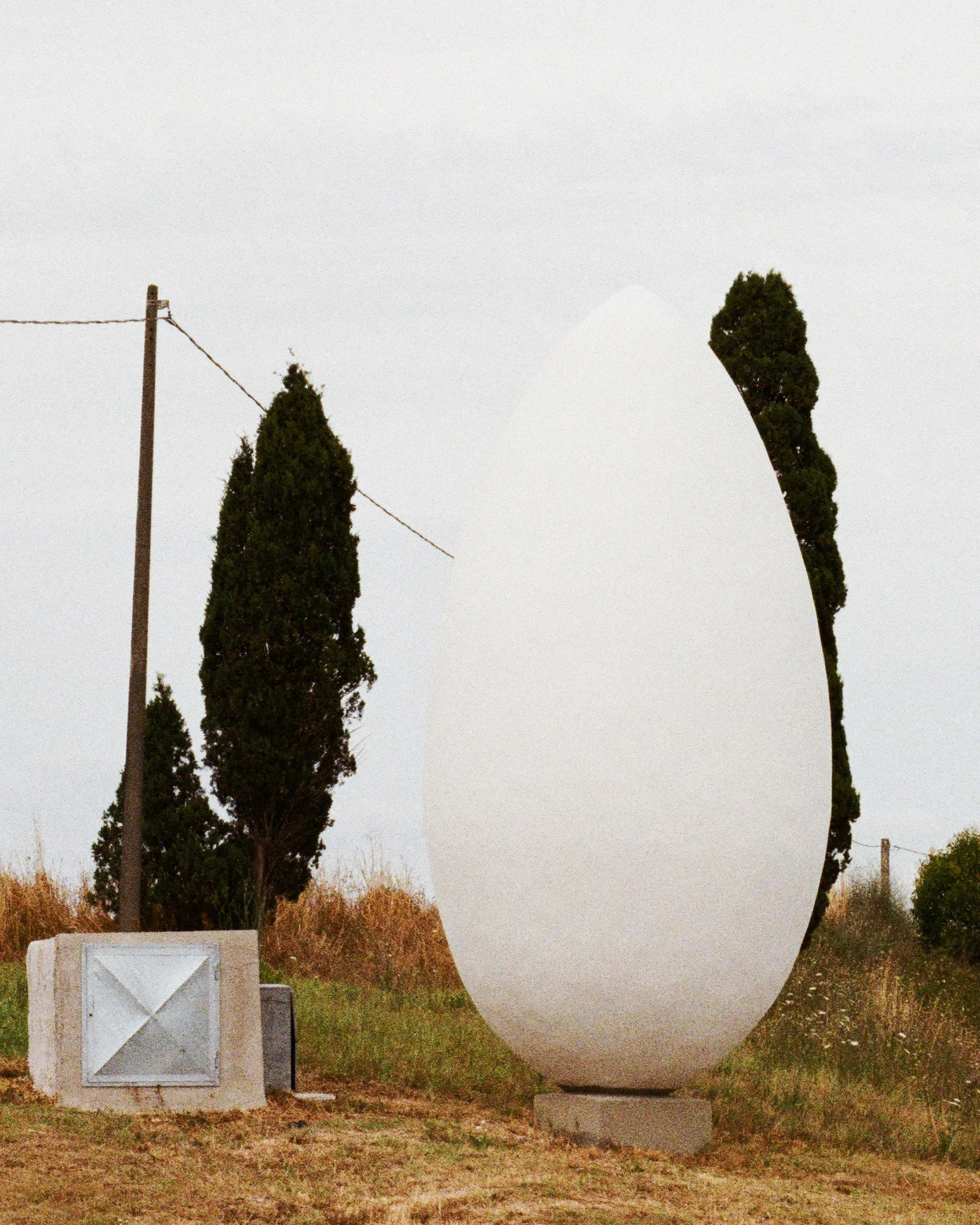 A large circular white sculpture installed outdoors, with trees and a pole in the background, on a grassy and dirt area.