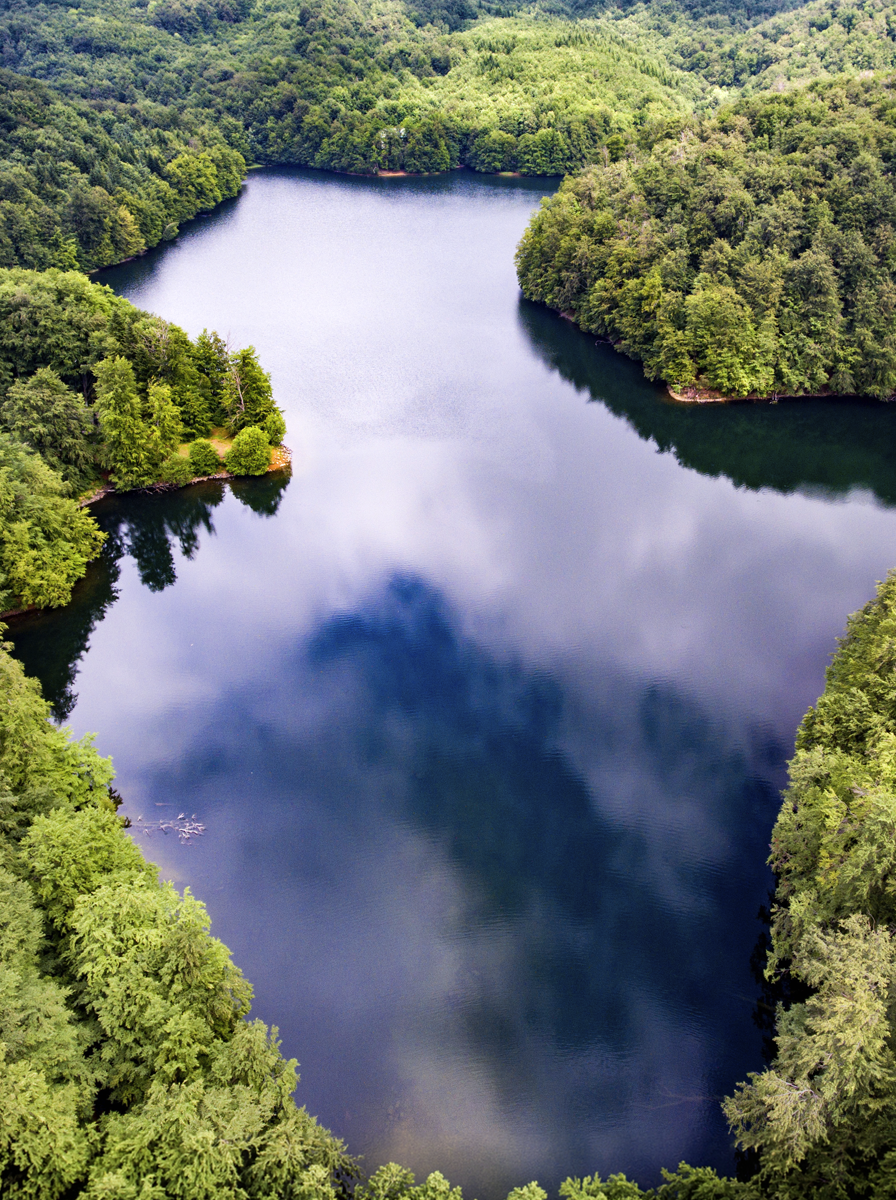 Vihorlat – Ancient and Primeval Beech Forests of the Carpathians, UNESCO World Heritage Site