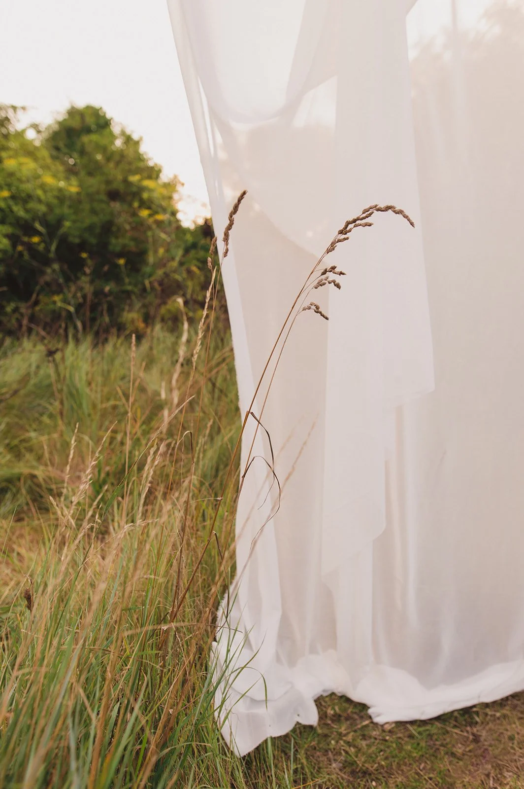 Close-up of dried grass against a sheer white curtain with a background of green trees and bushes in a natural outdoor setting.