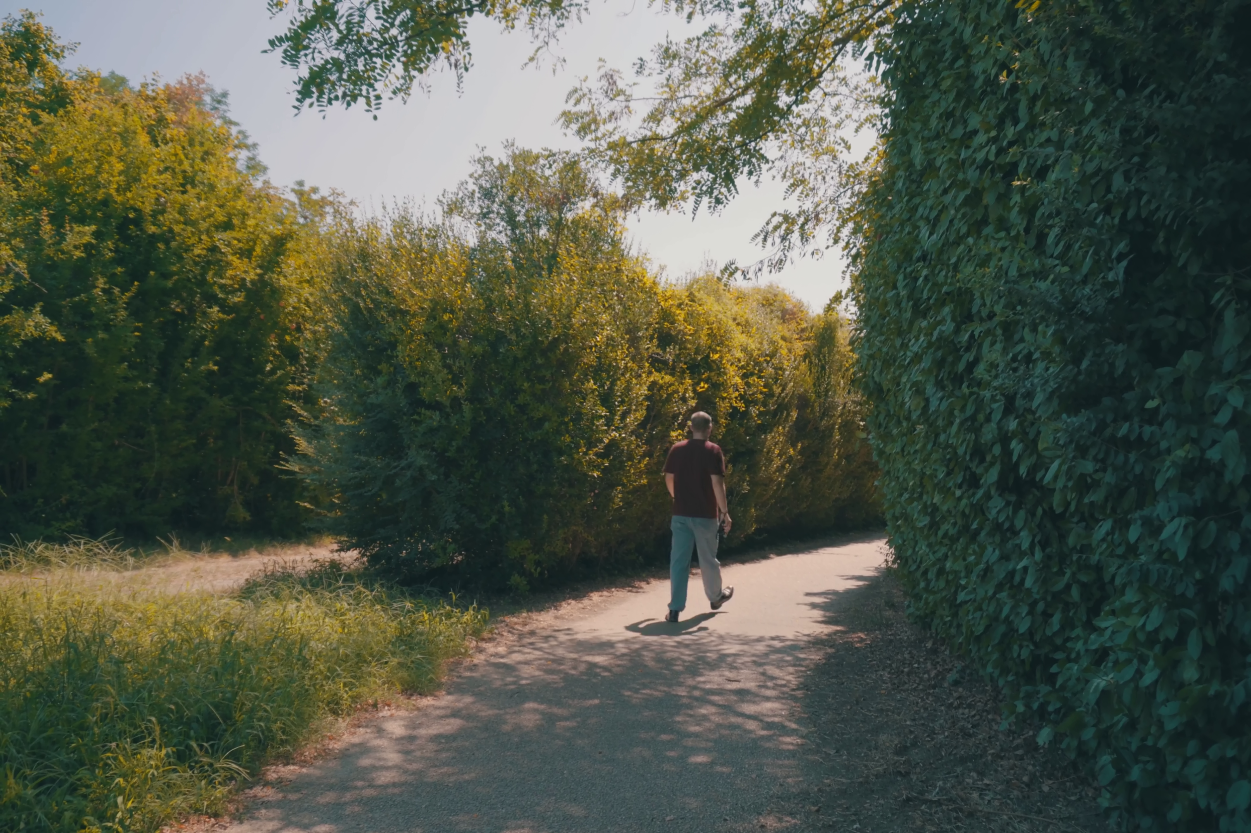 Stills che cammina in un sentiero circondato da alberi verdi e cespugli, con il sole che illumina la scena. Immagine di anteprima tratta dal cortometraggio "Black, White & Stills".