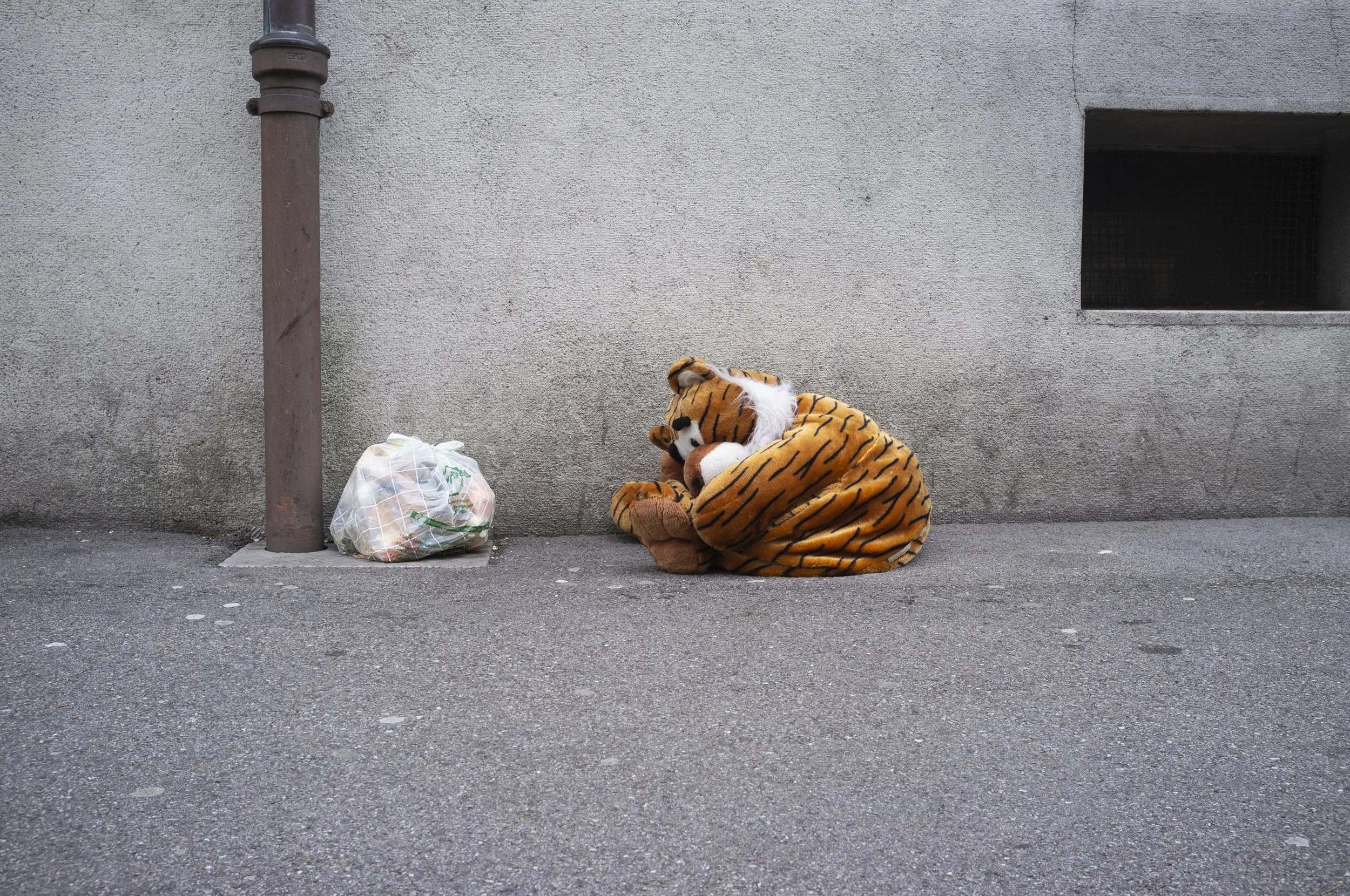 DSCF3922.jpg