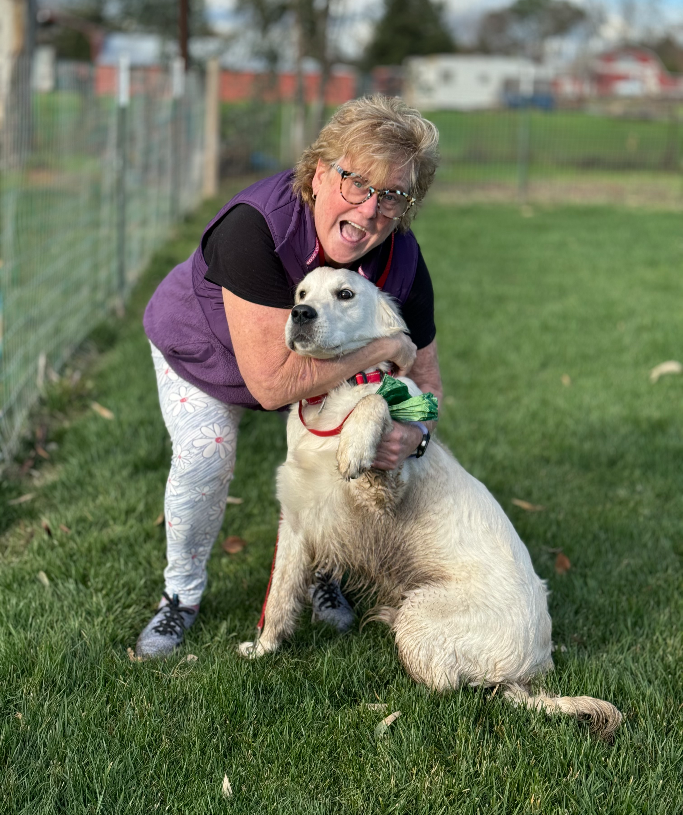 A woman with glasses and curly hair holding a yellow Labrador retriever puppy outdoors on a grassy field with a chain-link fence in the background.