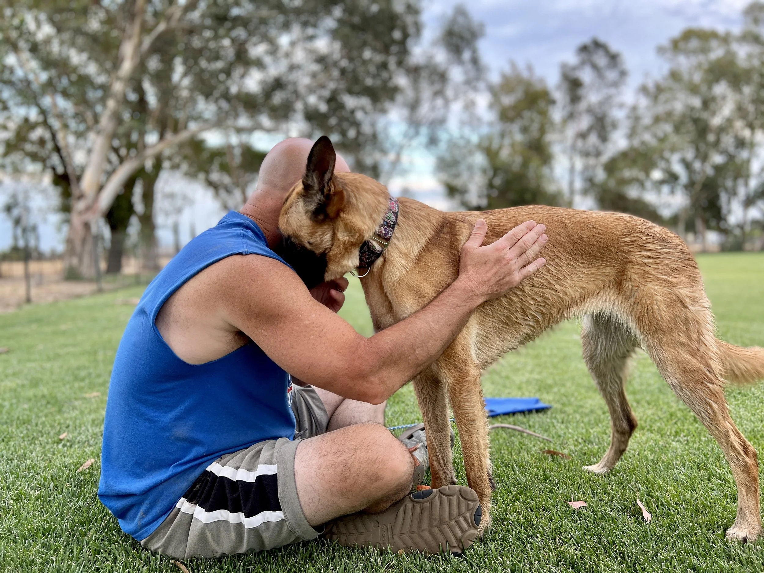 A man wearing a blue shirt and shorts, sitting on grass, hugging a large dog with brown fur and black ears in an outdoor park with trees in the background.