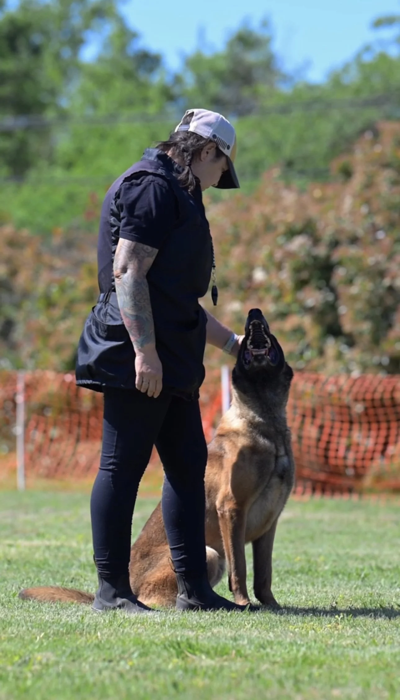 A woman wearing black clothing and a white cap training a German Shepherd dog in an outdoor grassy area during daytime. The woman is holding a treat and the dog is sitting and looking up at her.