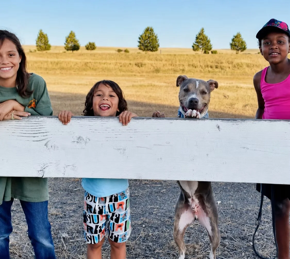 Three children and a dog behind a white wooden fence outdoors with a grassy field and trees in the background.