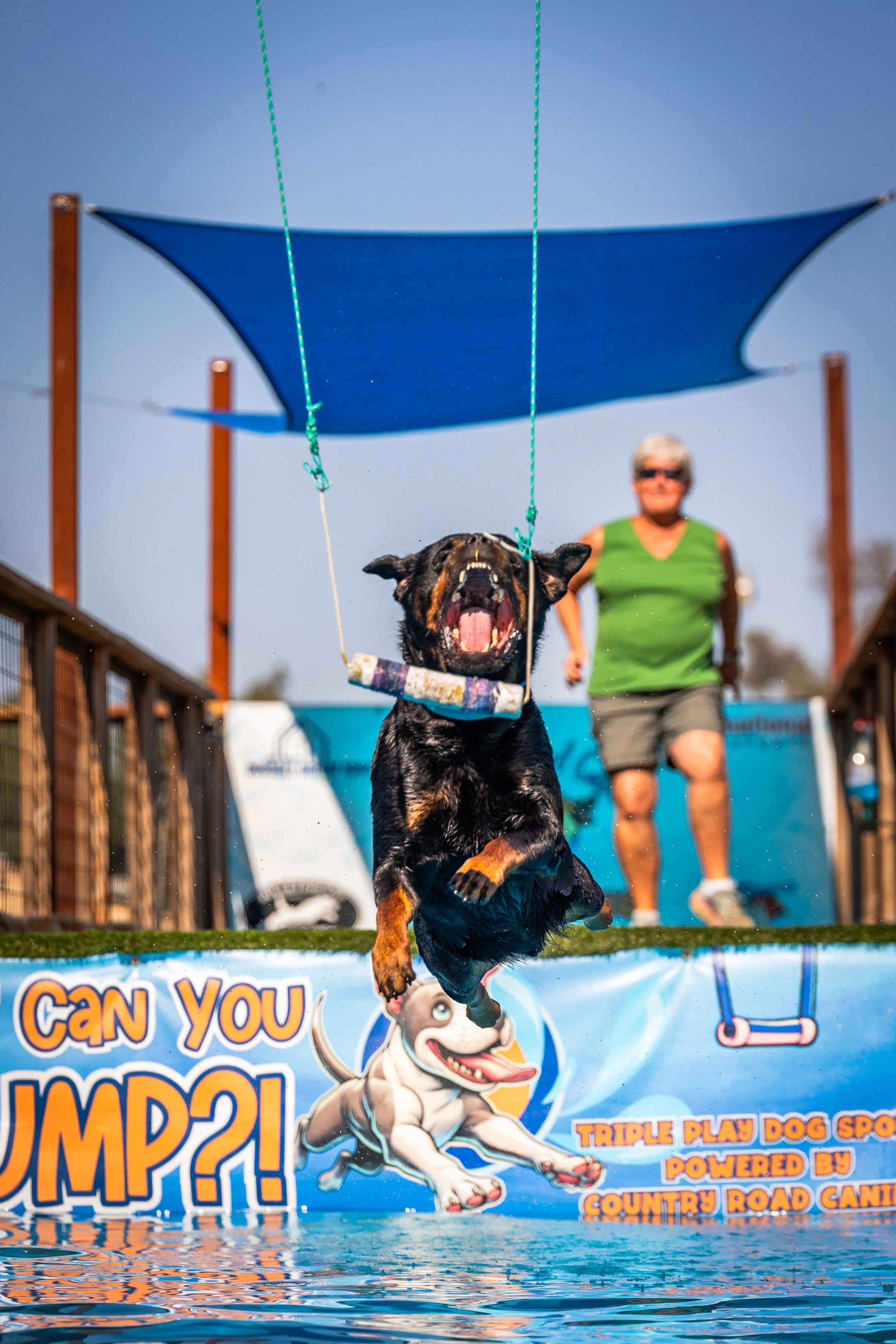 A black and brown dog jumping over a pool's edge with a blue shade above, with a woman in a green top and gray shorts running behind. The background has a colorful banner with cartoon dogs and text, and the scene takes place outdoors under a clear blue sky.
