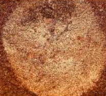 4 Shades Metal Powder - Copper.png