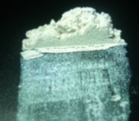 81 Shades Powder Pigment - Green Pearl .png