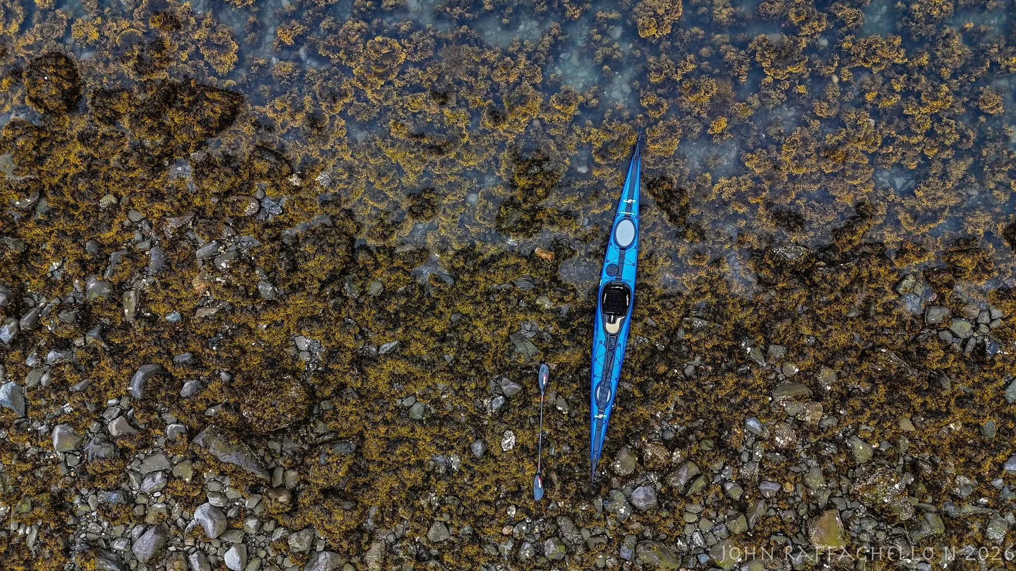 kayak.jpg