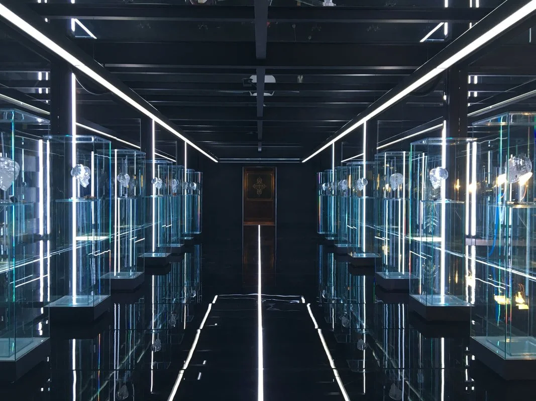 A dark room with black walls and ceiling, illuminated by white LED strip lights along the edges. Glass display cases with lighting inside hold various objects on both sides of a reflective floor. A framed picture or artwork is visible at the far end 