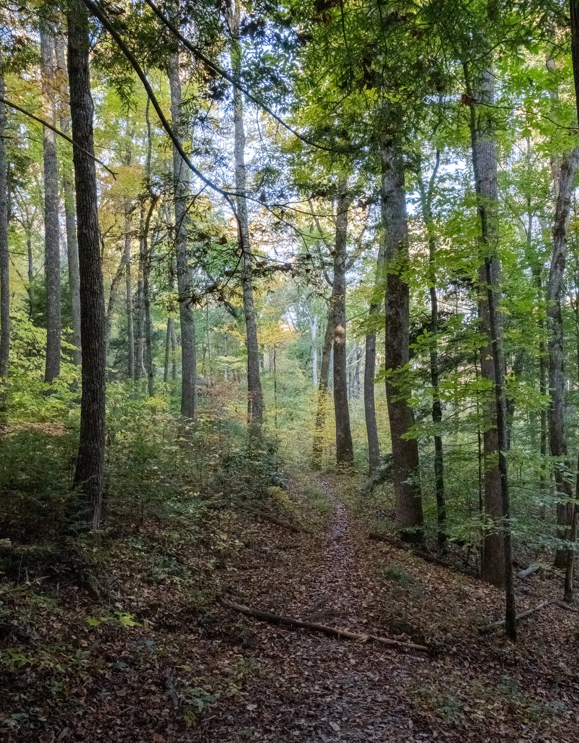 DSCF1081.jpg