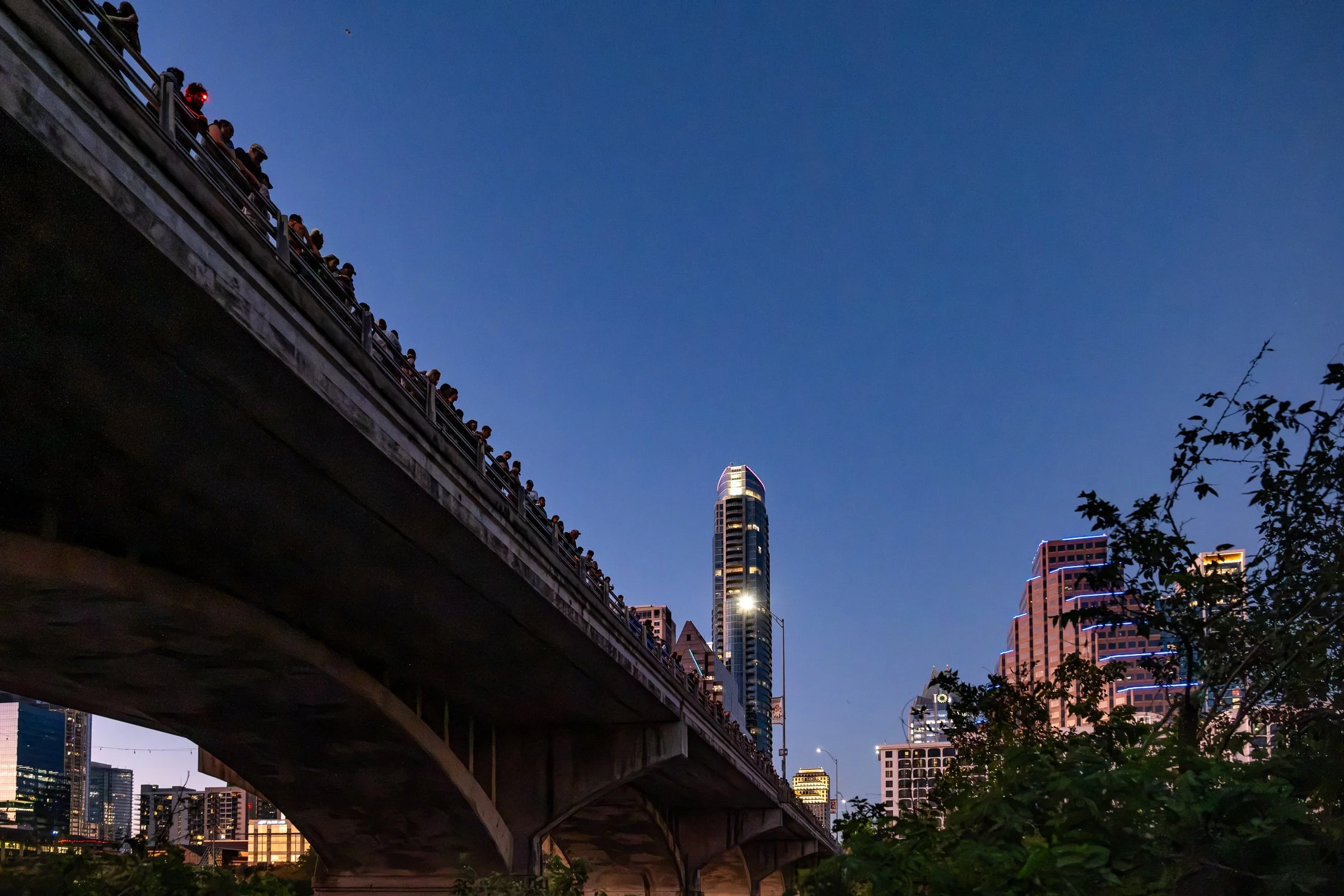 Hundreds of tourists gather on and below the bridge to watch the bats fly at dusk.