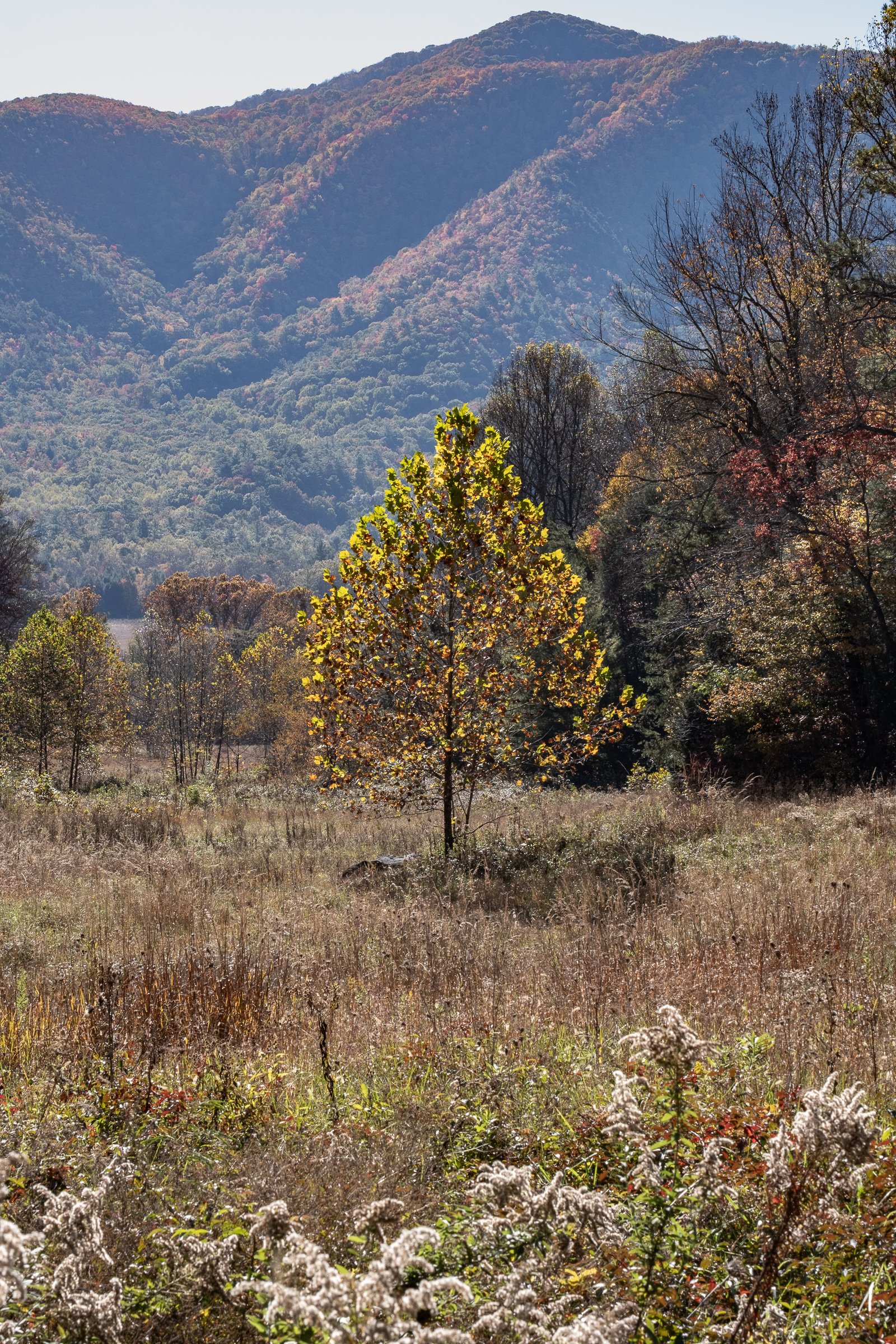DSCF1163.jpg