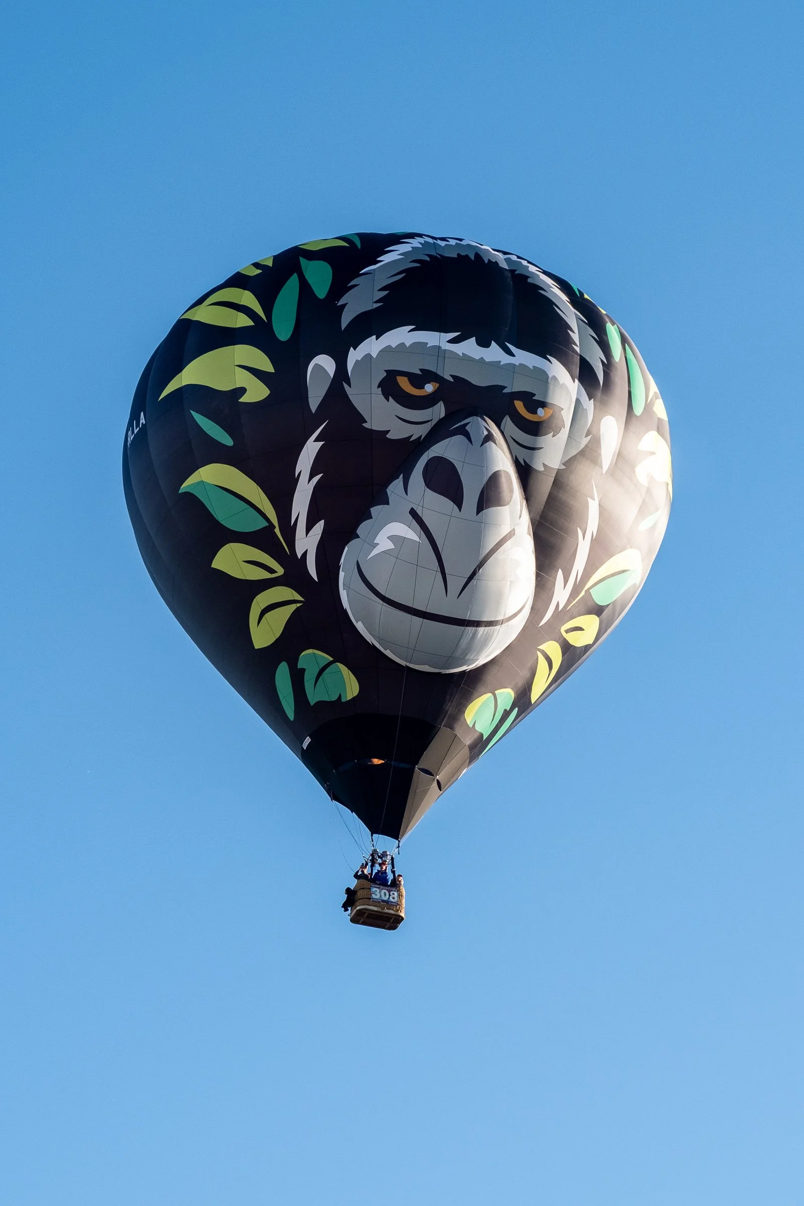 As bg as an ape.