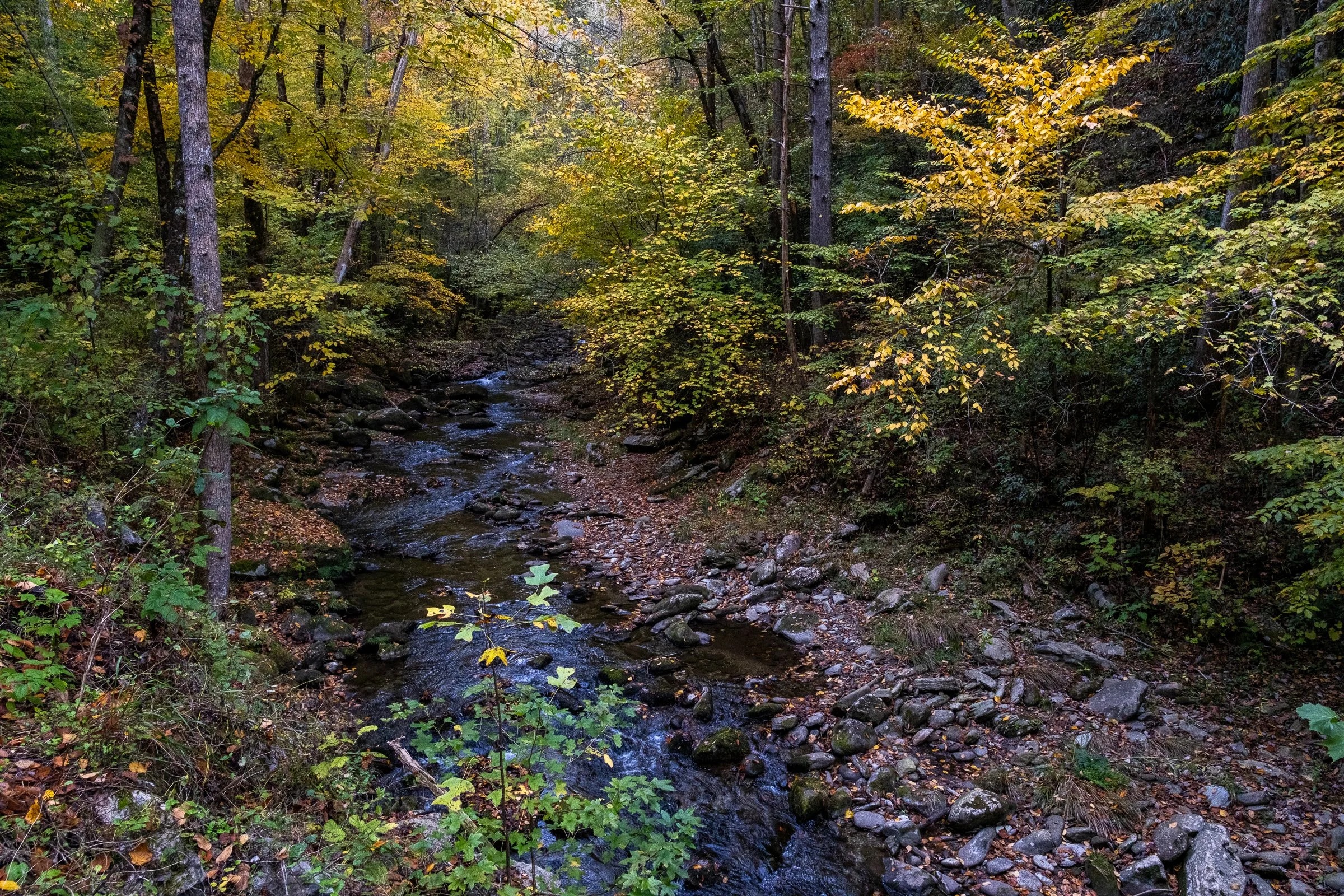 DSCF1060.jpg