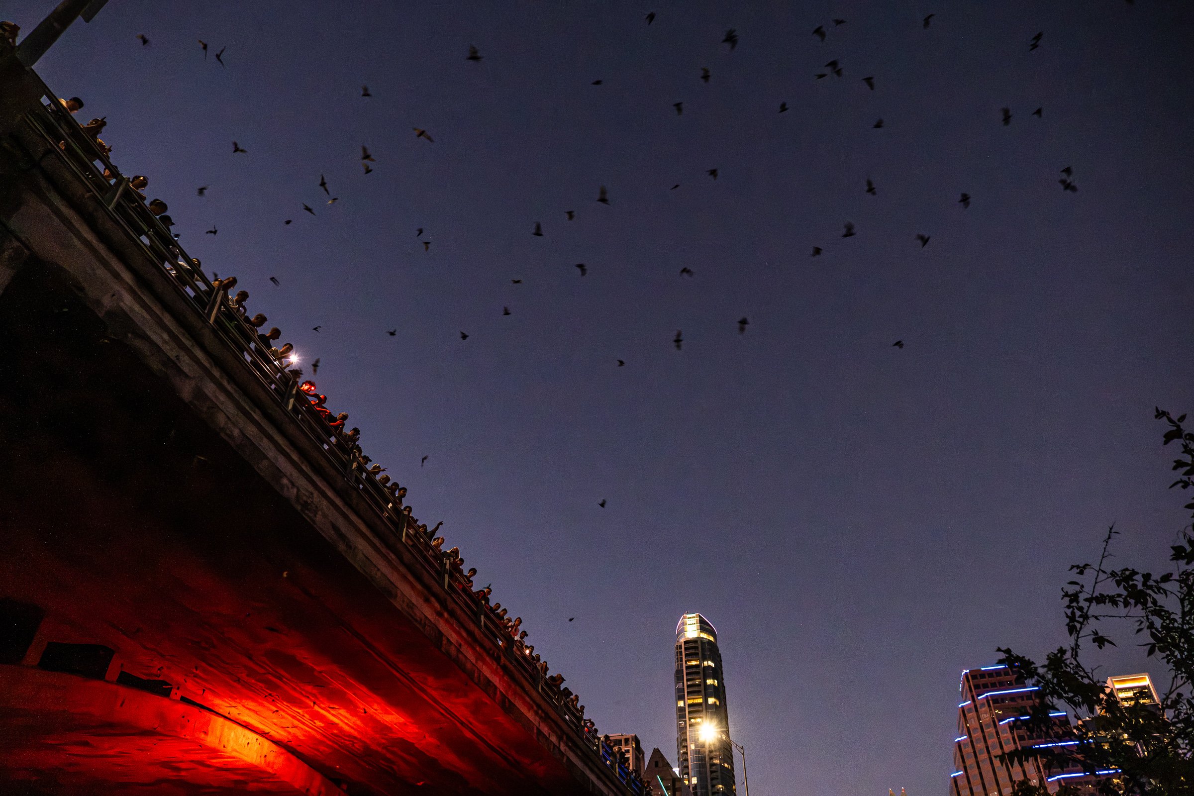 Guided boat tours on the river lit up the bridge with a red light.