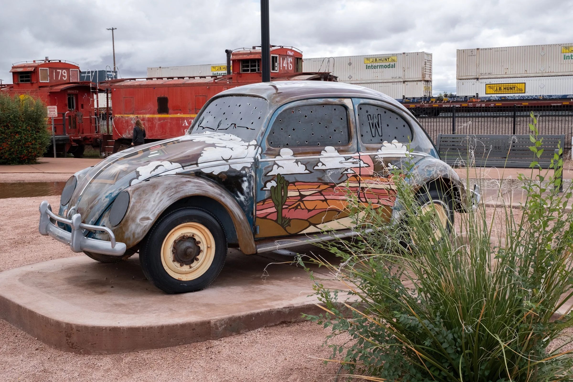 Desert Beetle?