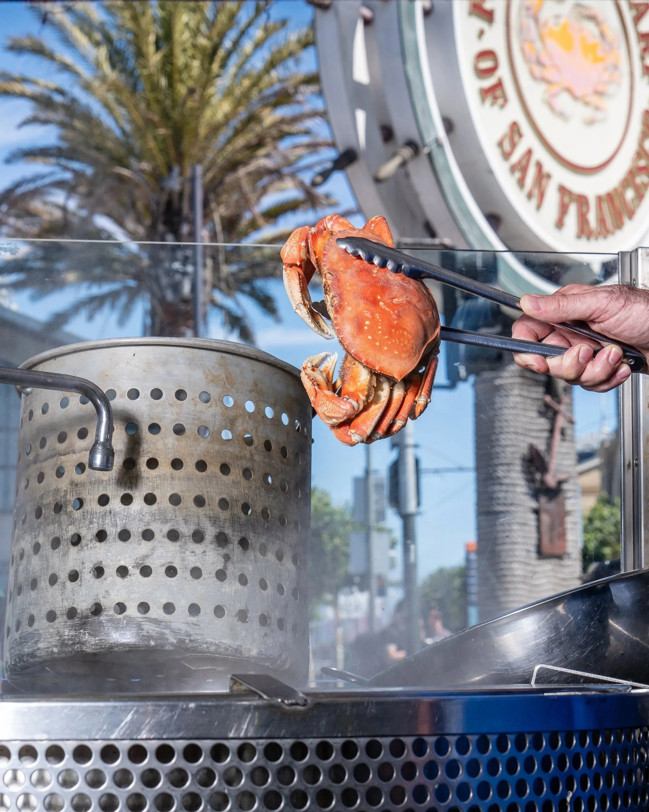Fresh crab held up with tongs at Guardino's, Fisherman’s Wharf