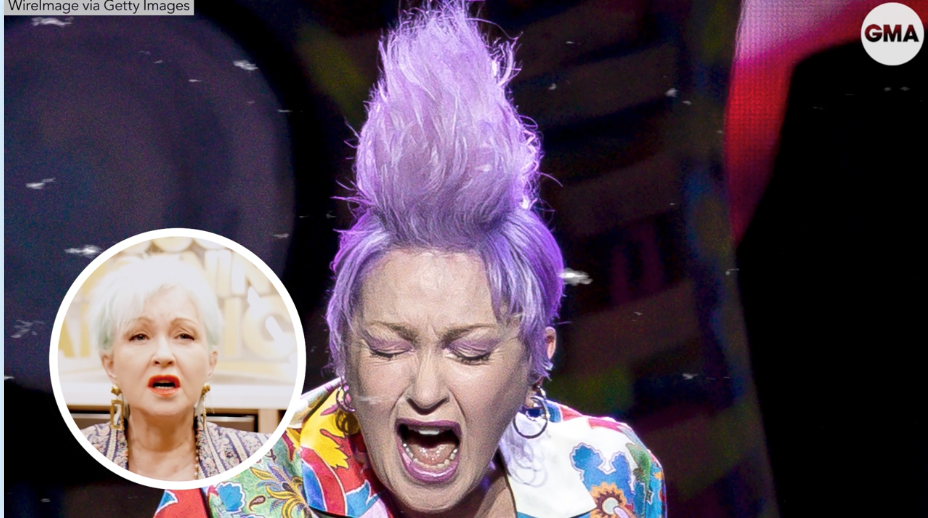 Cyndi Lauper | Career & Cultural Impact

Conducted an on-camera interview with music icon Cyndi Lauper for ABC News' digital platforms, exploring her decades-long career, creative evolution and lasting influence on music and pop culture.

Role: Inter