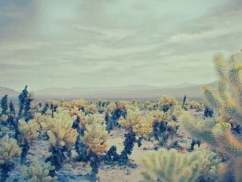 5c231cffa100787354cbb98f69669f5d.jpg