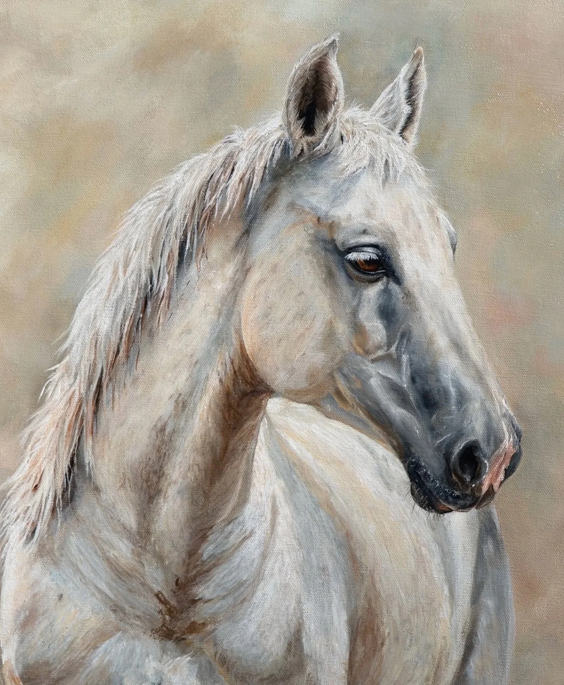 A painting of a white horse with a light-colored mane and a gentle expression, set against a beige background.