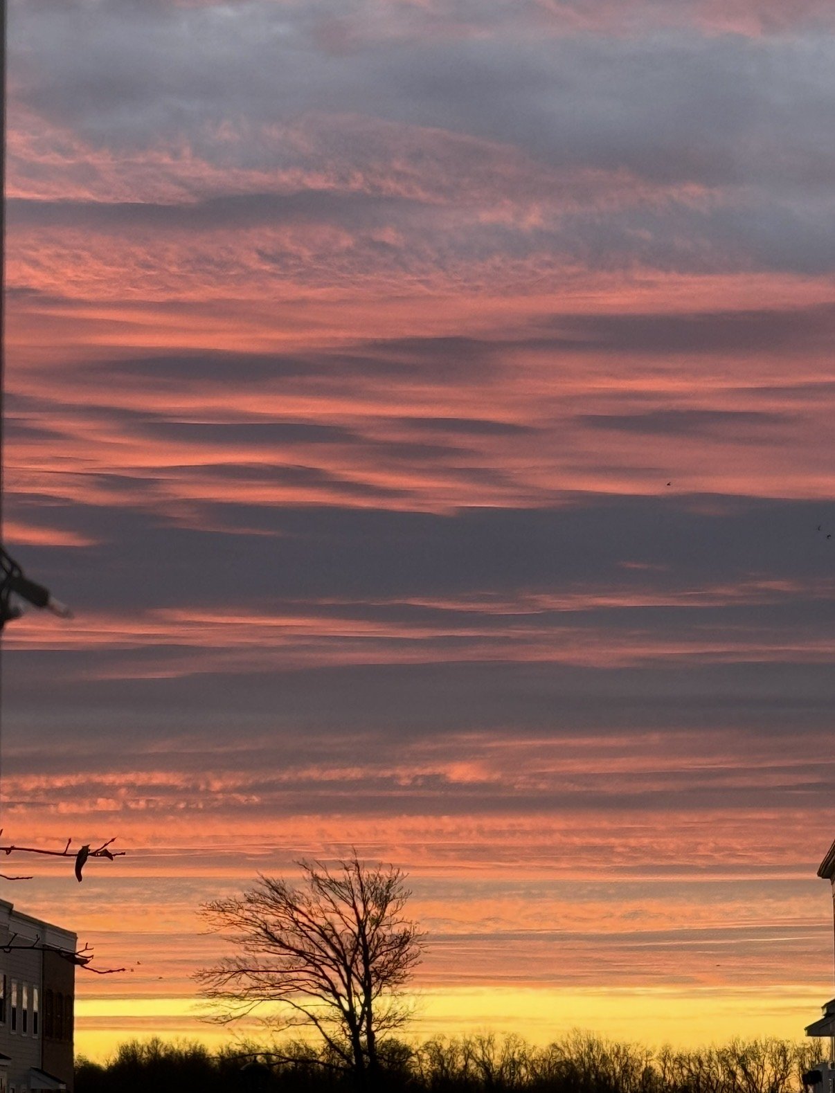 A colorful sunset sky with pink, purple, orange, and yellow hues, and a silhouette of a leafless tree and some buildings.