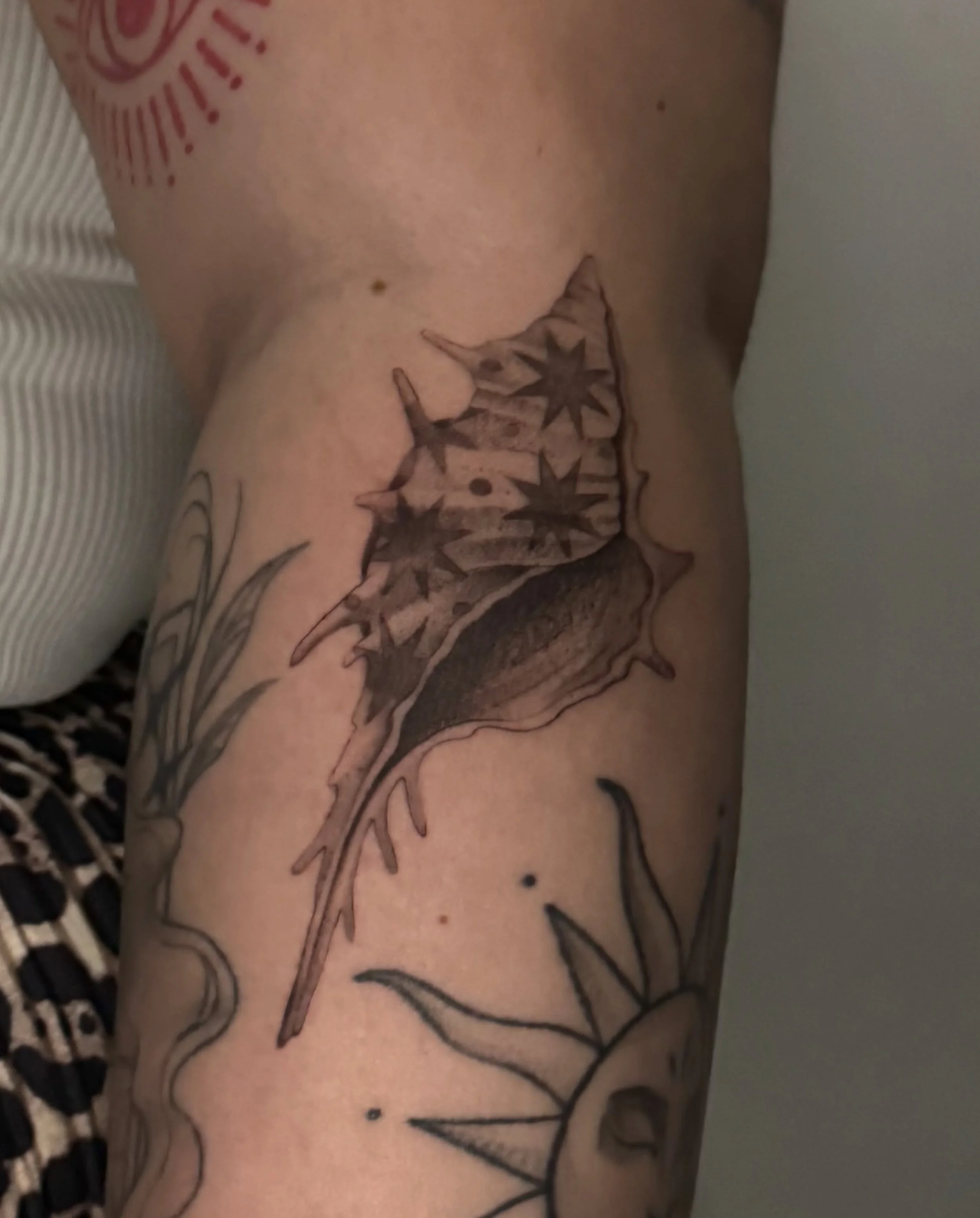 Fresh shell 🐚 
Thank you @makennaklynn 🥳
&bull;
done @blackaltartattooco