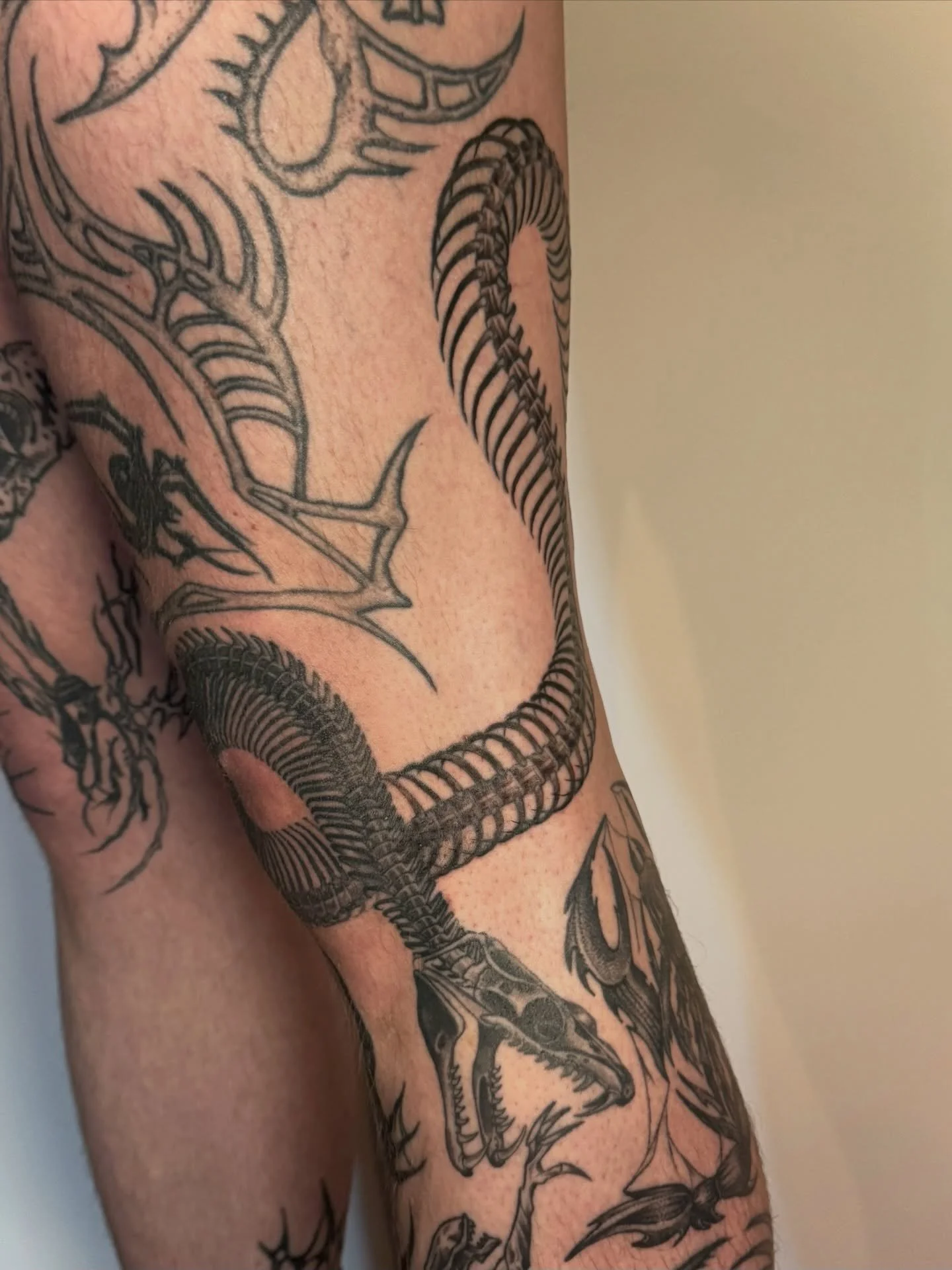 Finished up James&rsquo; reticulated snake skeleton 🐍
&bull;
done @blackaltartattooco