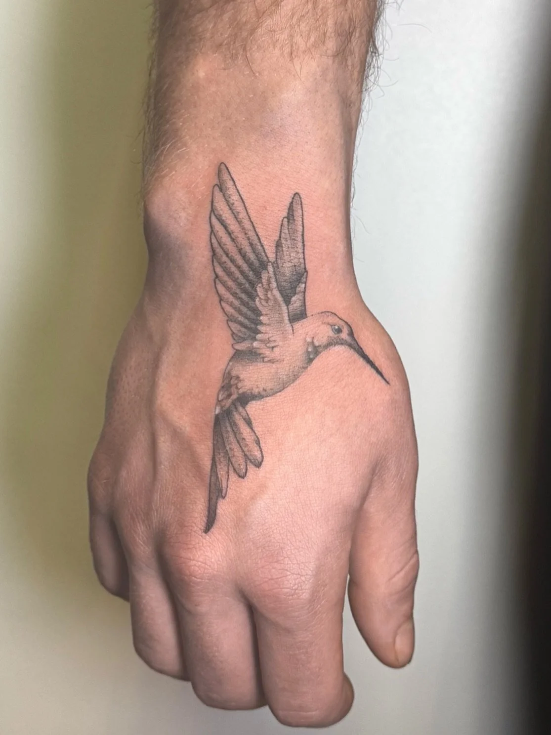 hummingbird for Myles ✨
&bull;
Available for walk-ins 
Wednesday-Saturday 12-6pm 
@blackaltartattooco