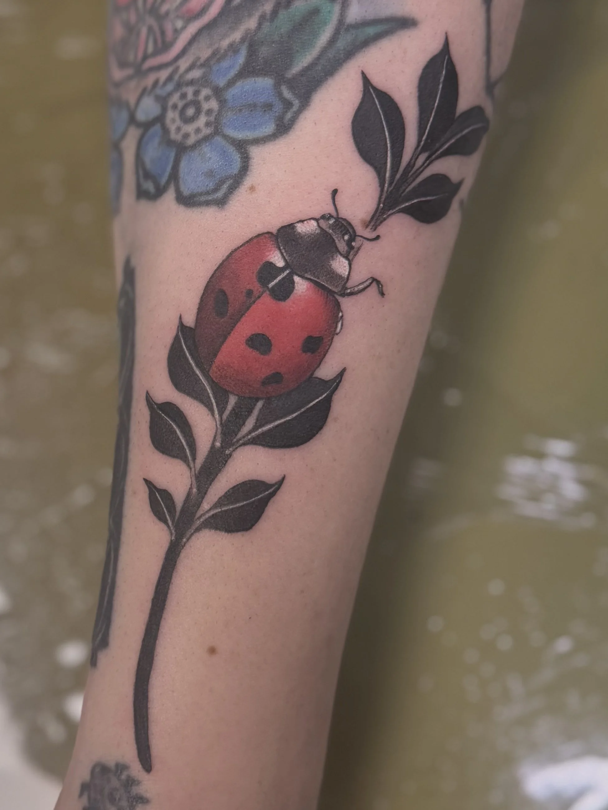 A tattoo of a red and black ladybug on a branch with black leaves on a person's arm.